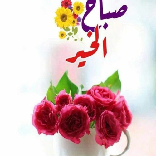 محمد ربيع الشيني’s avatar