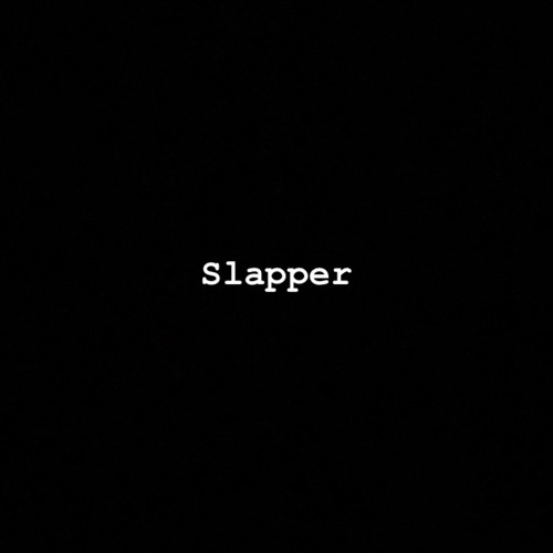 SLAPPER co.’s avatar