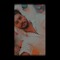 Adithya Sujith