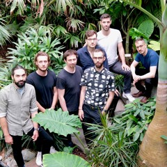 Freunde des Dschungels