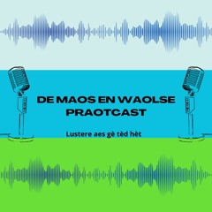 De Maos en Waolse Praotcast