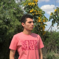 Ahmed Amro
