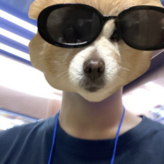 g0ttaugh
