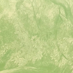 yoon