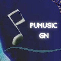 Pumusic GN