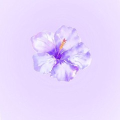 Flor