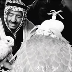 عبدالعزيز السعيدي❤️