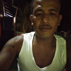 cinty