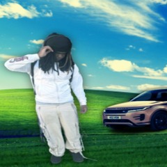 stylo