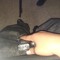 1500streeter