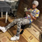 Jlondonn