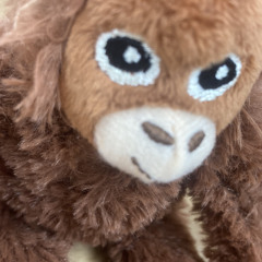 MOKO