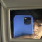 Wanna phyo Wanna phyo