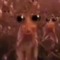 Krill-tastic_80082