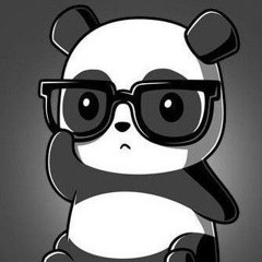Mr. Panda