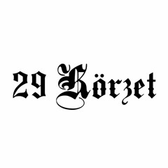 29 Körzet