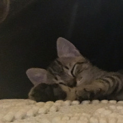 mia