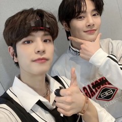 Puppy_seungmin and baby_jeongin！🐶🦊