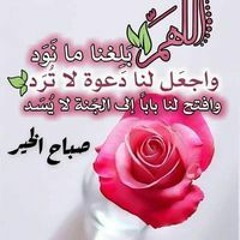 Ahmed Moustafa