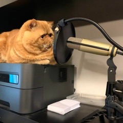 Reddit Grammy Awards