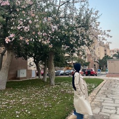 Asmaa Zaqout