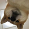 _615kennedy_