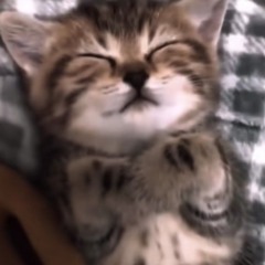 daisy <3