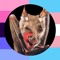 marble hornets lover 800