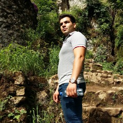 hamed