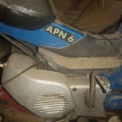 japk