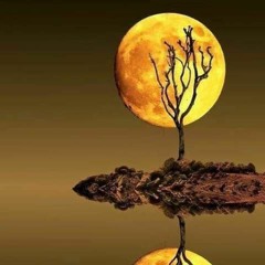 غيوم الشتـــــاء