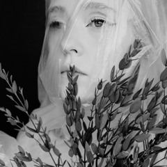 ART VEIL