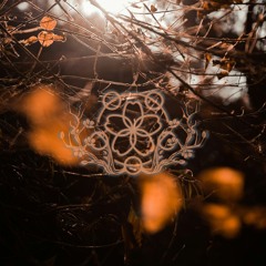 Without Blossom