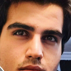 amir hossin