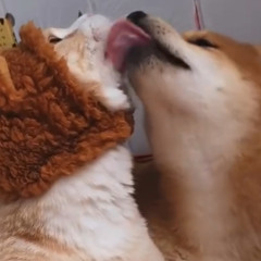 mine.