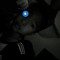 Sisk Lamk-