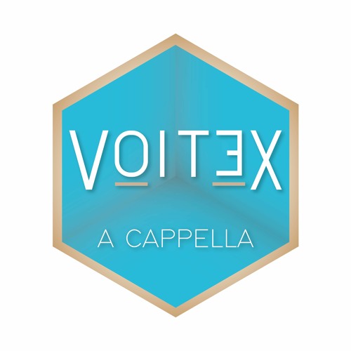 Voitex’s avatar
