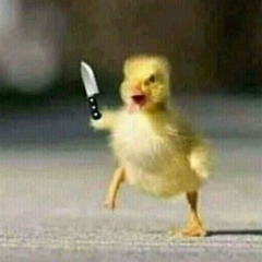 Diego Bélanger Montalvo