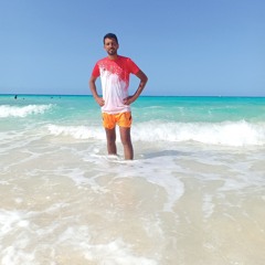 Diaa Mohamed