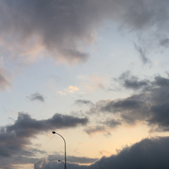 Hitoha