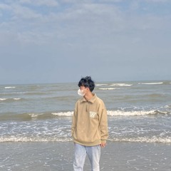 vinh phi