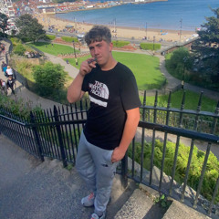 the dnb whipper