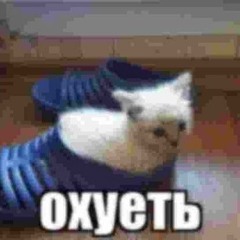 moonfv