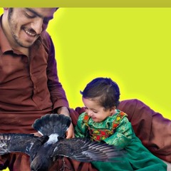 De Palar Dua جاوید امیرخیل - د پلار دعا