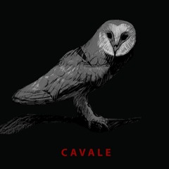 CAVALE - Prêle Abelanet