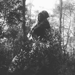 •Discover•