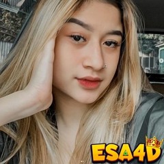 Esa4D Officl