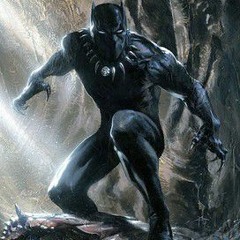 blackpanthershawn1