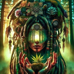 Another Universe