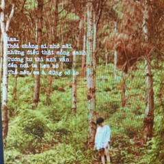nam.ng